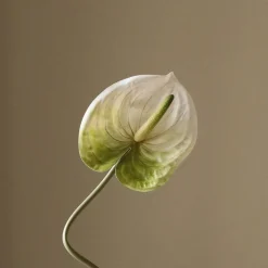 Botané Kunstige Blomster & Træer<Anthurium Flower