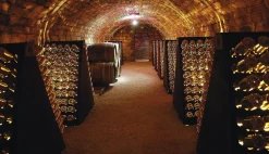 Bøger Bøger<Champagne - Wine of Kings and the King of Wines