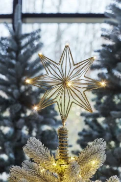 Sirius Juletræspynt<Chloe Topstjerne
