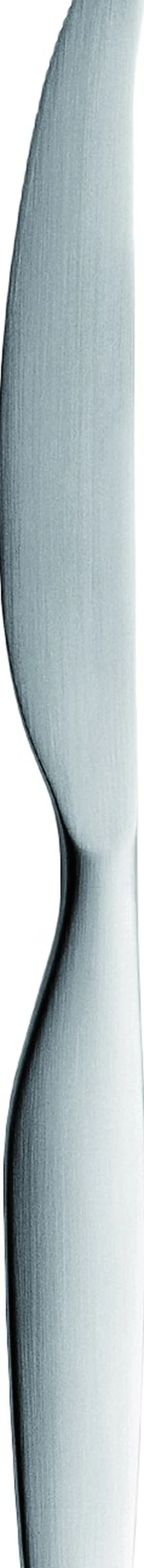 Iittala Bestik<Citterio 98 kniv mat