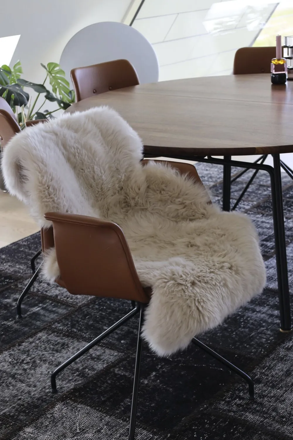 NATURES Collection Skind<90cm-up New Zealand Sheepskin, Long Wool Beige 90x60
