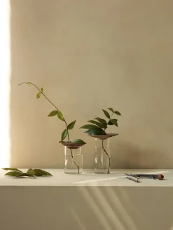 Audo Copenhagen Vaser & Urtepotteskjulere<Cresco Propagation Vases, Set of 2
