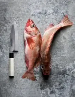 BUNMEI Køkkenknive & Sakse<Debakniv 16,5 cm enkelslebet