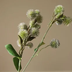 Botané Kunstige Blomster & Træer<Echinops Ritro Thistle Ball