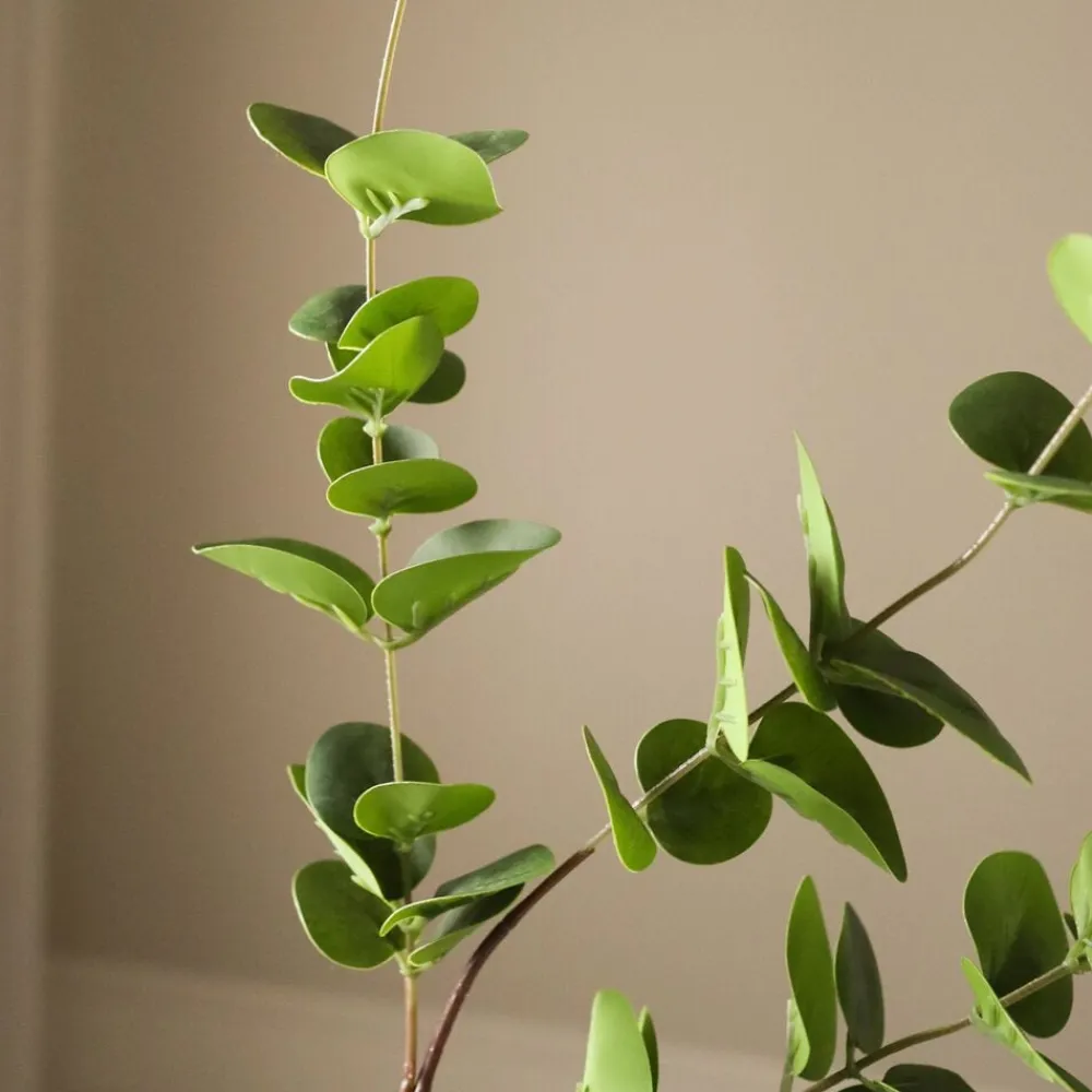 Botané Kunstige Blomster & Træer<Eucalyptus Three Leaves