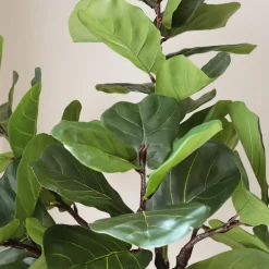 Botané Kunstige Blomster & Træer<Fiddle Leaf Fig