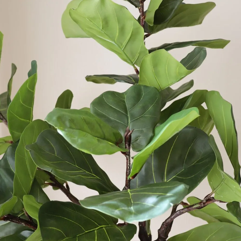 Botané Kunstige Blomster & Træer<Fiddle Leaf Fig