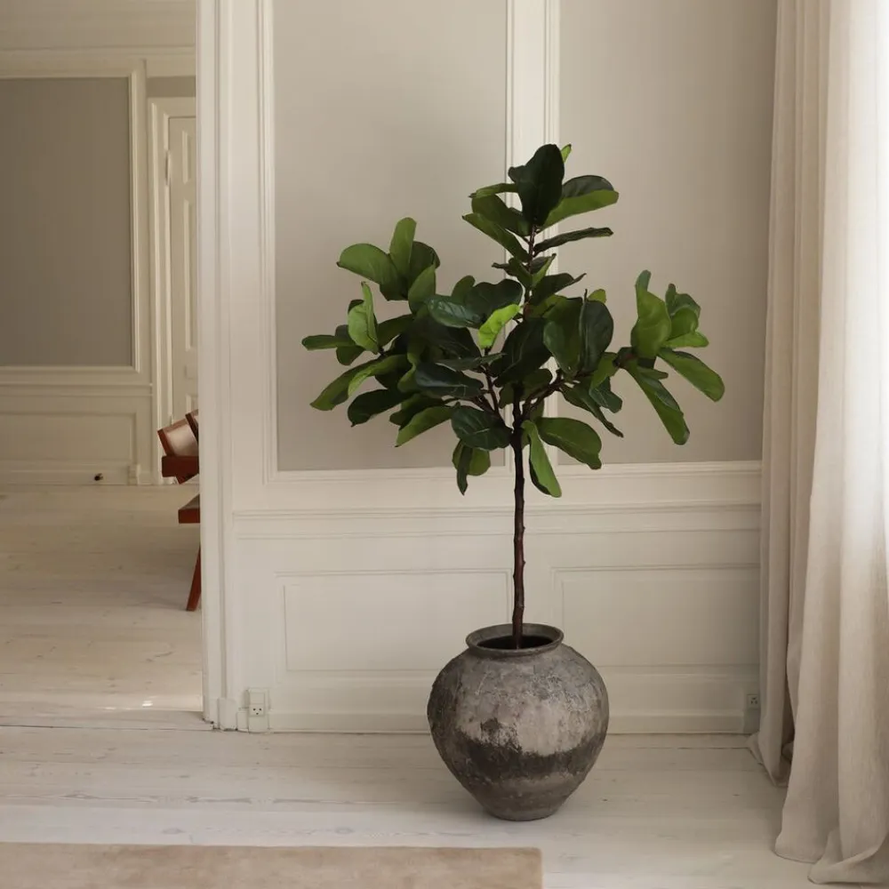 Botané Kunstige Blomster & Træer<Fiddle Leaf Fig