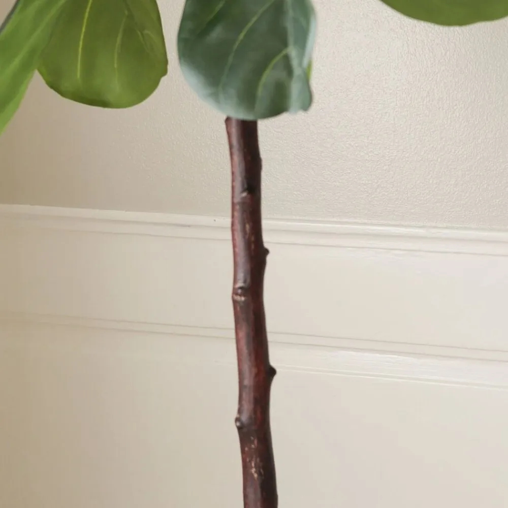 Botané Kunstige Blomster & Træer<Fiddle Leaf Fig