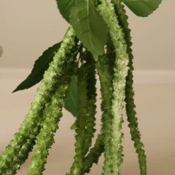 Botané Kunstige Blomster & Træer<Green Three Forks Amaranthus Flower