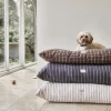 OYOY Living Design Til Boligens Kæledyr<Kyoto Hundepude - Medium