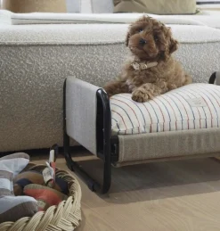 OYOY Living Design Til Boligens Kæledyr<Milo Hundeseng - Medium