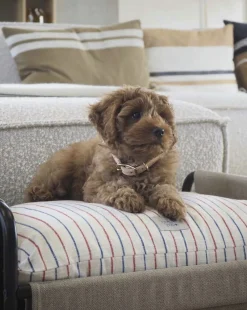 OYOY Living Design Til Boligens Kæledyr<Milo Hundeseng - Medium