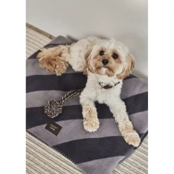 OYOY Living Design Til Boligens Kæledyr<Otte Hunde Reblegetøj