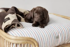 OYOY Living Design Til Boligens Kæledyr<Otte Hundeseng - Lille