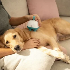 Beurer Til Boligens Kæledyr<PetCare PP 410 Buddy Massageapparat til kæledyr
