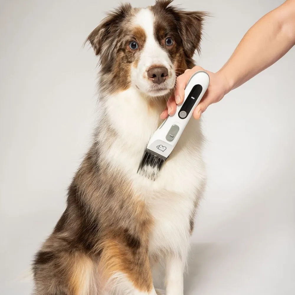 Beurer Til Boligens Kæledyr<PetCare PP 110 Fluffy Pelstrimmer