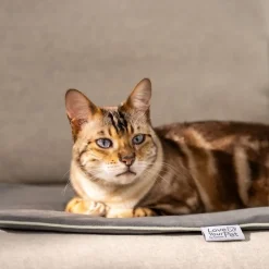 Beurer Til Boligens Kæledyr<PetCare PP 210 Lilli Varmemåtte til kæledyr 41x34 cm
