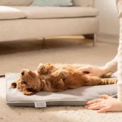 Beurer Til Boligens Kæledyr<PetCare PP 210 Lilli Varmemåtte til kæledyr 41x34 cm