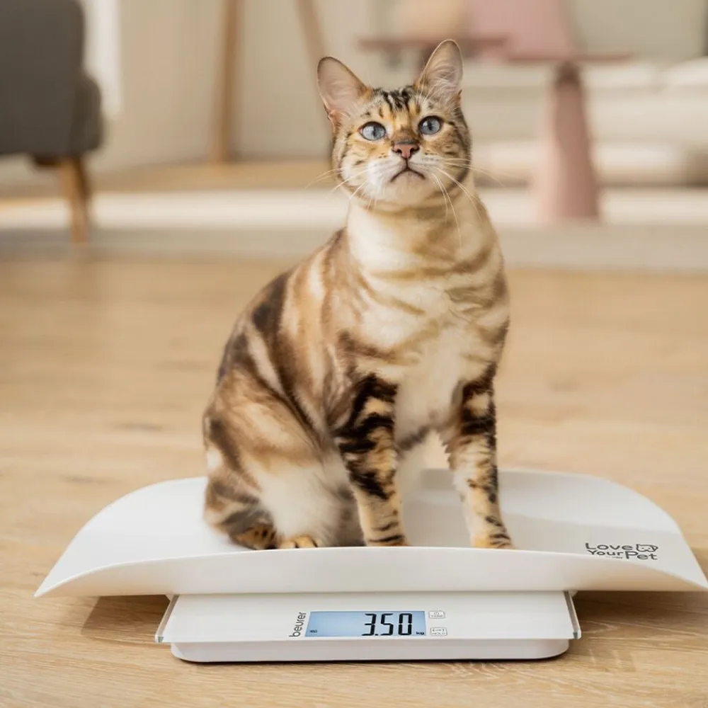Beurer Til Boligens Kæledyr<PetCare PP 170 Polly Multifunktionsvægt til kæledyr