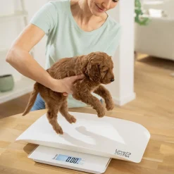 Beurer Til Boligens Kæledyr<PetCare PP 170 Polly Multifunktionsvægt til kæledyr