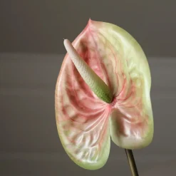 Botané Kunstige Blomster & Træer<Pink Medium Anthurium Flower