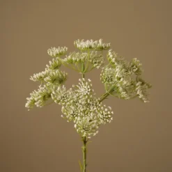 Botané Kunstige Blomster & Træer<Queen Anne's Lace Flower