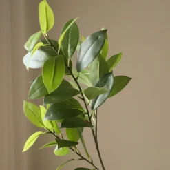 Botané Kunstige Blomster & Træer<Ruscus Leaves
