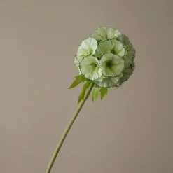 Botané Kunstige Blomster & Træer<Scabiosa Seed Pod Flower