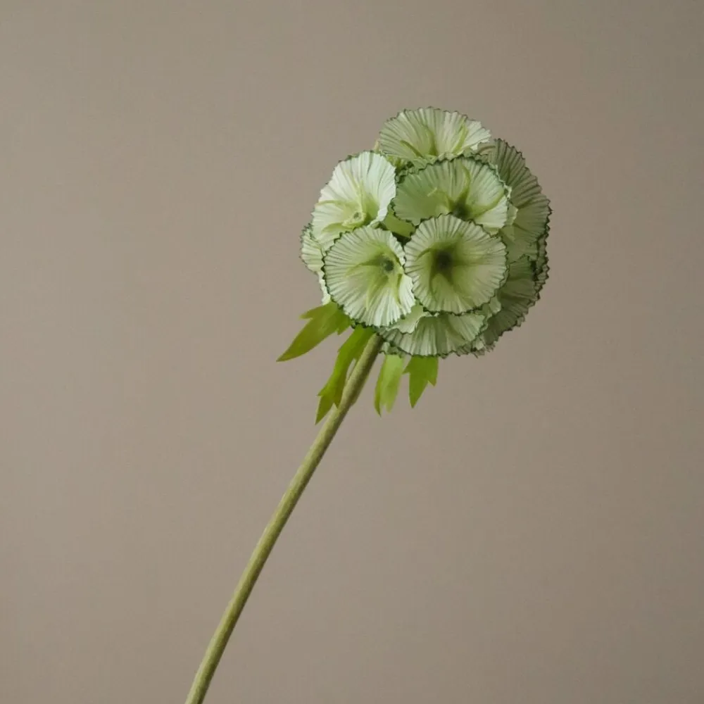 Botané Kunstige Blomster & Træer<Scabiosa Seed Pod Flower