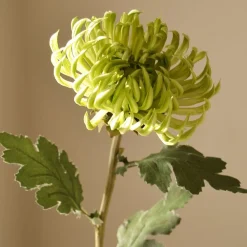 Botané Kunstige Blomster & Træer<Semi-Cactus Dahlia Flower