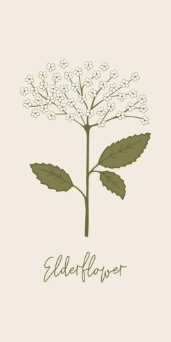 Ib Laursen Tilbehør Til Bordet<Serviet Elderflower 16 stk pr pakke
