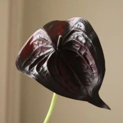 Botané Kunstige Blomster & Træer<Small Anthurium Flower