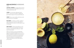 New Mags Bøger<The Cocktail Edit