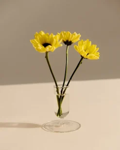 Hay Vaser & Urtepotteskjulere<Tiny Vase-Clear