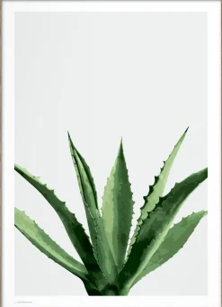 Poster & Frame Plakater & Rammer<Wonderhagen - Agave plakat Gr&oslash;n
